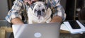 Funny couple man and dog work together at home with laptop online job computer in friendship and happiness - concept of smart work Royalty Free Stock Photo