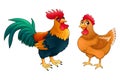 Funny couple of rooster and hen Royalty Free Stock Photo