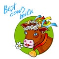 Funny cow carry wooden pail with milk. Lawn, flowers and sky. Vector illustration Royalty Free Stock Photo