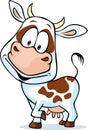 Funny cow cartoon - isolated on white