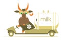 Funny cow drives a milk tanker illustration
