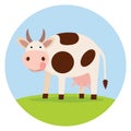 Funny cow on the field Royalty Free Stock Photo