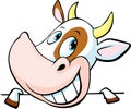 Funny cow peeks out from behind a white surface - vector Royalty Free Stock Photo