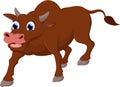 Funny Cow Smile cartoon white background for you design Royalty Free Stock Photo