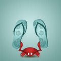 Funny crab with flip-flops for summer