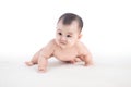 Funny crawling baby girl isolated on white background Royalty Free Stock Photo