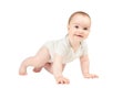 Funny crawling baby girl isolated on white background Royalty Free Stock Photo