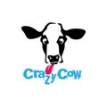 Funny crazy looking cow