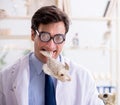 Funny crazy professor studying animal skeletons Royalty Free Stock Photo