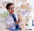 Funny crazy professor studying animal skeletons