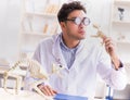 Funny crazy student doctor studying animal skeleton Royalty Free Stock Photo