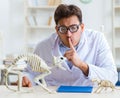 Funny crazy student doctor studying animal skeleton Royalty Free Stock Photo