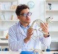 Funny crazy student doctor studying animal skeleton Royalty Free Stock Photo