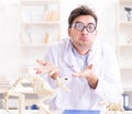 Funny crazy student doctor studying animal skeleton Royalty Free Stock Photo