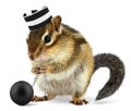 Funny criminal chipmunk in prison hat Royalty Free Stock Photo