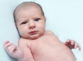 Funny curious blue eyed newborn baby