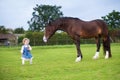 Funny curly baby girl with carrot next horse Royalty Free Stock Photo