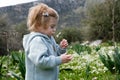 Funny cute adorable caucasian blonde baby girl, toddler in green field of daisy, camomiles smelling flowers.Curious Royalty Free Stock Photo