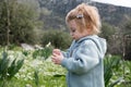 Funny cute adorable caucasian blonde baby girl, toddler in green field of daisy, camomiles smelling flowers.Curious Royalty Free Stock Photo