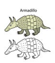 Funny cute animal armadillo isolated on white background. Linear, contour, black and white and colored version. Illustration can Royalty Free Stock Photo