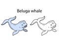 Funny cute animal beluga whale isolated on white background. Linear, contour, black and white and colored version. Illustration Royalty Free Stock Photo