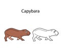 Funny cute animal capybara isolated on white background. Linear, contour, black and white and colored version. Illustration can be