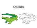 Funny cute animal crocodile isolated on white background. Linear, contour, black and white and colored version. Illustration can Royalty Free Stock Photo