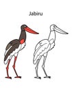 Funny cute animal jabiru isolated on white background. Linear, contour, black and white and colored version. Illustration can be