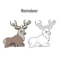 Funny cute animal reindeer isolated on white background. Linear, contour, black and white and colored version. Illustration can be