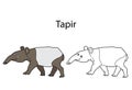 Funny cute animal tapir isolated on white background. Linear, contour, black and white and colored version. Illustration can be