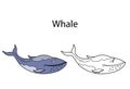 Funny cute animal whale isolated on white background. Linear, contour, black and white and colored version. Illustration can be Royalty Free Stock Photo