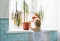 Funny cute baby girl watering house plant at room in the bright interior home Royalty Free Stock Photo