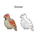 Funny cute bird grouse isolated on white background. Linear, contour, black and white and colored version. Illustration can be Royalty Free Stock Photo