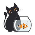 Funny cute black fat cat is watching on a clown fish in an aquarium isolated on a white background. Royalty Free Stock Photo