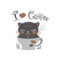Funny cute black kitten in coffee mug Royalty Free Stock Photo