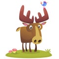 Funny cute cartoon moose character with a bird on its horn standing on the meadow background with a gras mushroom and flowers. Royalty Free Stock Photo