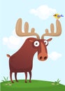 Funny cute cartoon moose character standing on the meadow background with a gras mushroom and flowers. Vector moose illustration