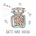 Funny cute cat sleeping in a glass jar. Cats are liquid. Lettering. Vector Royalty Free Stock Photo