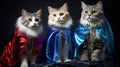 Funny cute cat wearing Halloween costume. Fluffy kitten posing dressed for party. Humanised animals concept Royalty Free Stock Photo