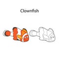 Funny cute clownfish isolated on white background. Linear, contour, black and white and colored version. Illustration can be used Royalty Free Stock Photo