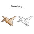 Funny cute dino pterodactyl isolated on white background. Linear, contour, black and white and colored version. Illustration can