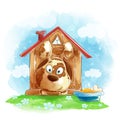 Funny cute dog looks out of a doghouse, a bowl of food and bone.