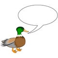 A funny cute duck with a talking bubble Royalty Free Stock Photo