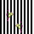 Funny cute frog illustration on black stripes. On white background Royalty Free Stock Photo