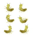 Funny cute green centipede shows different emotions. Happy, grumpy, gloomy, angry, smiling, laughing emoji. Smileys in cartoon Royalty Free Stock Photo