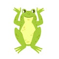 Funny cute green frog