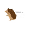 Funny cute hedgehog running fast isolated on white background