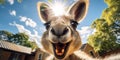 Funny and cute kangaroo close-up, animals of Australia. Generative AI