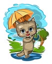 A funny cute Kitten with an umbrella walks through the puddles. Wind clouds bad weather. But good mood. Kid is an animal