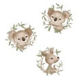 Cute koala bear and kangoroo sitting on the branches of eucalyptus. Hand drawn illustration on white background Royalty Free Stock Photo